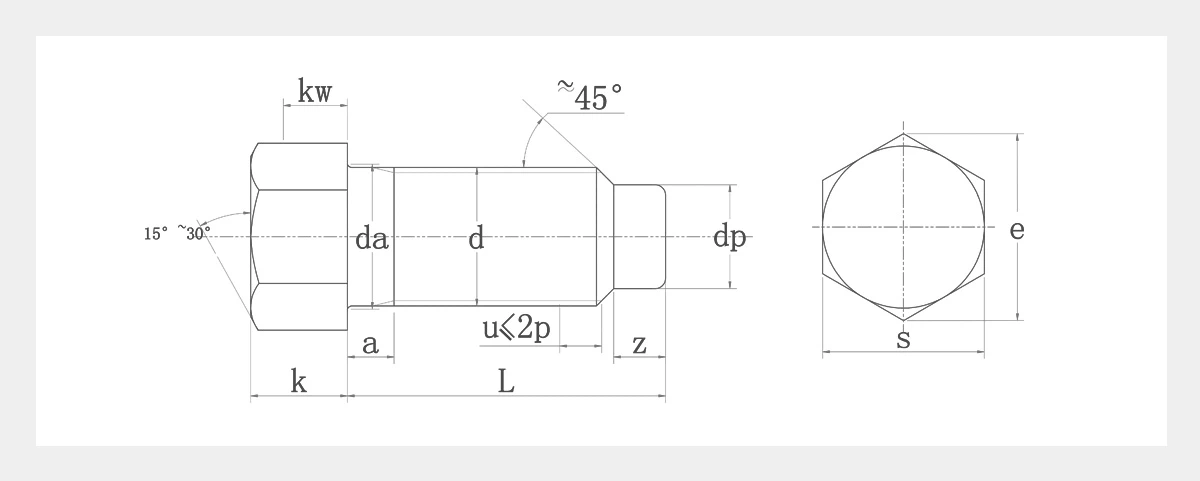 SS Hex Set Screws-2D