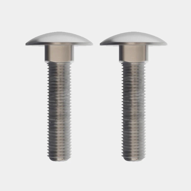 Stainless Carriage Bolts-AYA BOLTS